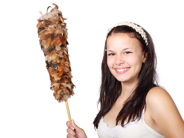 mop