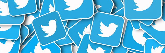 Loga od spoločnosti Twitter..jpg