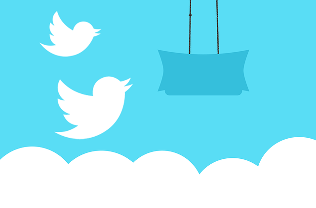 Twitter ilustrácia..png